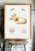framed vintage squid varieties wall art